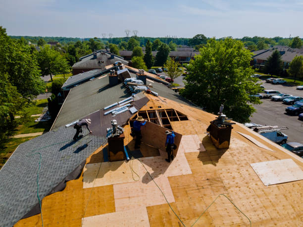 Best Commercial Roofing Services  in Rinna, VA