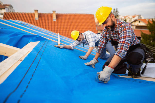 Best Affordable Roof Replacement  in Rinna, VA