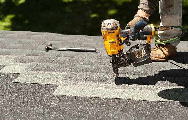 Roof Gutter Cleaning in Rivanna, VA